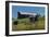 Dairy Farm-Brenda Petrella Photography LLC-Framed Giclee Print