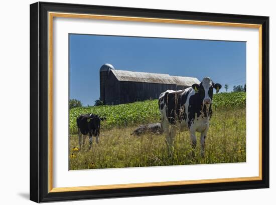 Dairy Farm-Brenda Petrella Photography LLC-Framed Giclee Print