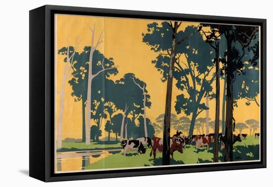 Dairying in Australia, from the Series 'Empire Buying Makes Busy Factories'-Frank Newbould-Framed Premier Image Canvas