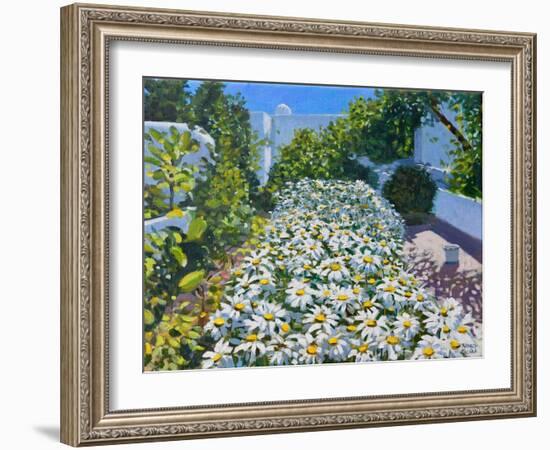 Daisies,2018-Andrew Macara-Framed Giclee Print