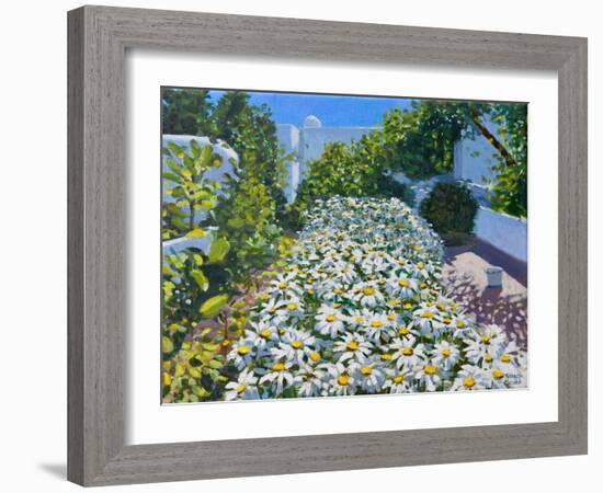 Daisies,2018-Andrew Macara-Framed Giclee Print
