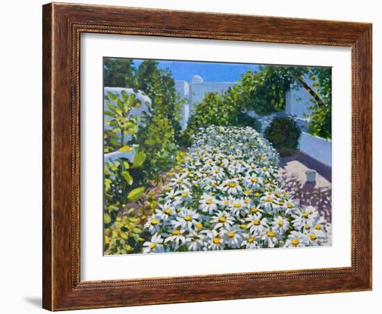 Daisies,2018-Andrew Macara-Framed Giclee Print