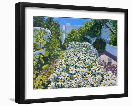 Daisies,2018-Andrew Macara-Framed Giclee Print