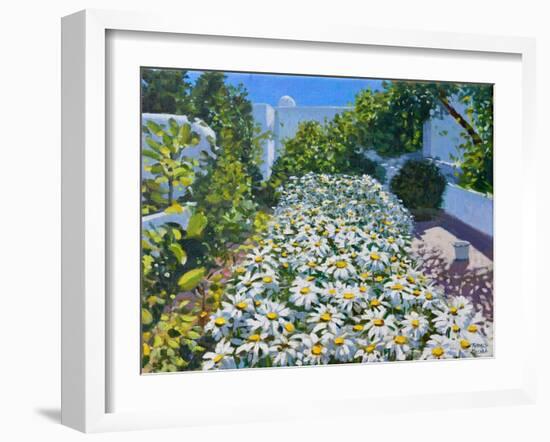 Daisies,2018-Andrew Macara-Framed Giclee Print