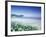 Daisies along Crescent Beach, Olympic National Park, Washington, USA-Adam Jones-Framed Photographic Print