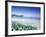 Daisies along Crescent Beach, Olympic National Park, Washington, USA-Adam Jones-Framed Photographic Print