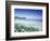 Daisies along Crescent Beach, Olympic National Park, Washington, USA-Adam Jones-Framed Photographic Print