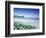 Daisies along Crescent Beach, Olympic National Park, Washington, USA-Adam Jones-Framed Photographic Print