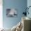 Daisies and Butterflies in the Bedroom-null-Photographic Print displayed on a wall