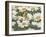 Daisies and Butterfly-William Vanderdasson-Framed Giclee Print