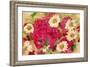 Daisies And Roses-Wolf Heart Illustrations-Framed Giclee Print