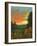 Daisies at Sunset-David Swanagin-Framed Art Print