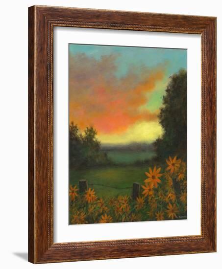 Daisies at Sunset-David Swanagin-Framed Art Print