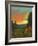 Daisies at Sunset-David Swanagin-Framed Art Print