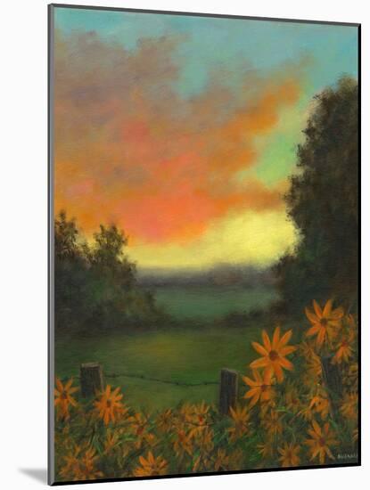 Daisies at Sunset-David Swanagin-Mounted Art Print