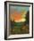 Daisies at Sunset-David Swanagin-Framed Art Print