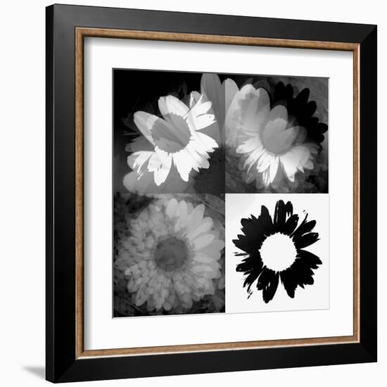 Daisies In Black And White II-Ruth Palmer-Framed Art Print