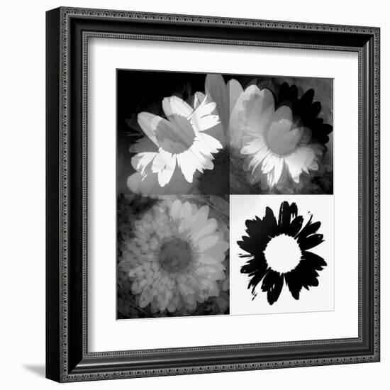 Daisies In Black And White II-Ruth Palmer-Framed Art Print