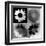 Daisies In Black And White-Ruth Palmer-Framed Art Print