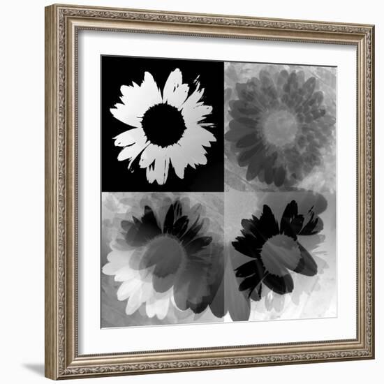 Daisies In Black And White-Ruth Palmer-Framed Art Print