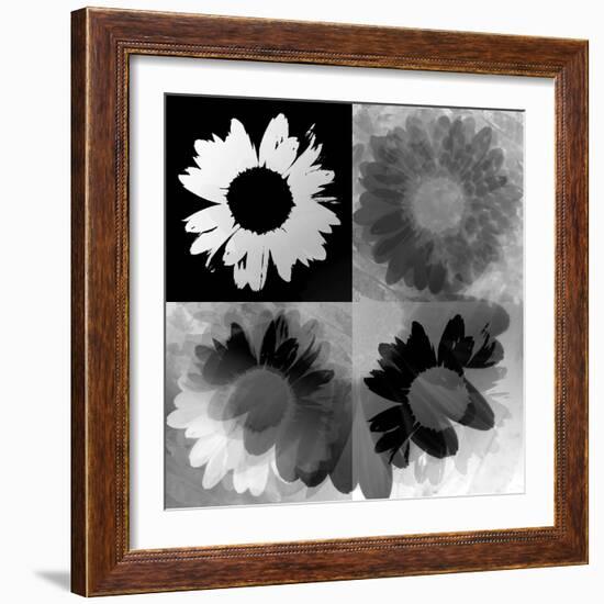 Daisies In Black And White-Ruth Palmer-Framed Art Print