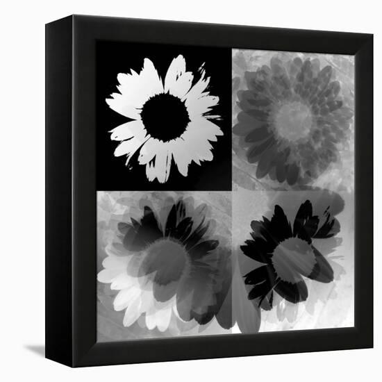 Daisies In Black And White-Ruth Palmer-Framed Stretched Canvas