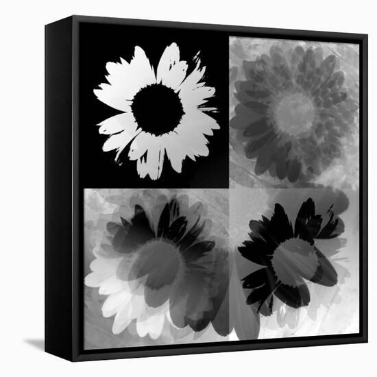 Daisies In Black And White-Ruth Palmer-Framed Stretched Canvas