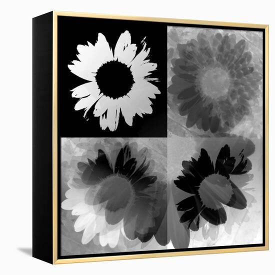 Daisies In Black And White-Ruth Palmer-Framed Stretched Canvas