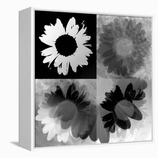 Daisies In Black And White-Ruth Palmer-Framed Stretched Canvas