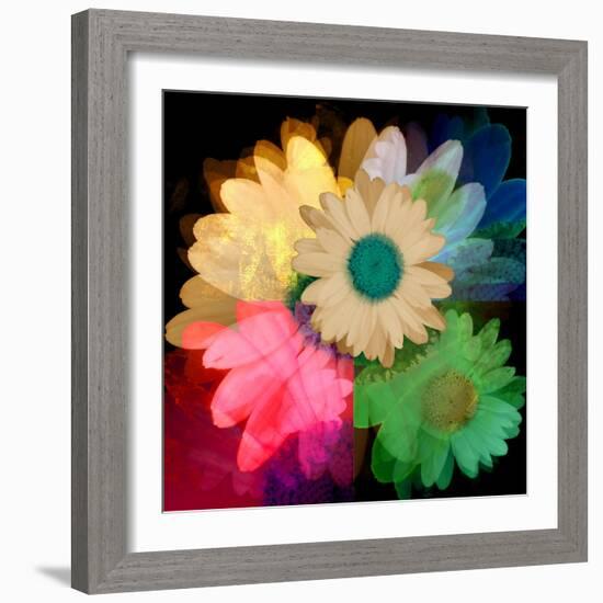 Daisies In Color II-Ruth Palmer-Framed Art Print