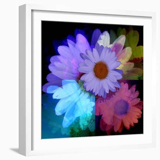 Daisies In Color-Ruth Palmer-Framed Art Print