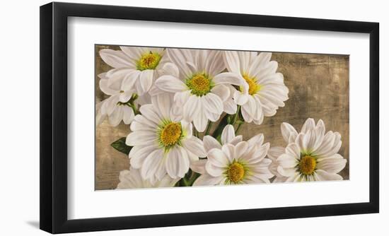 Daisies in the Moonlight-Jenny Thomlinson-Framed Art Print