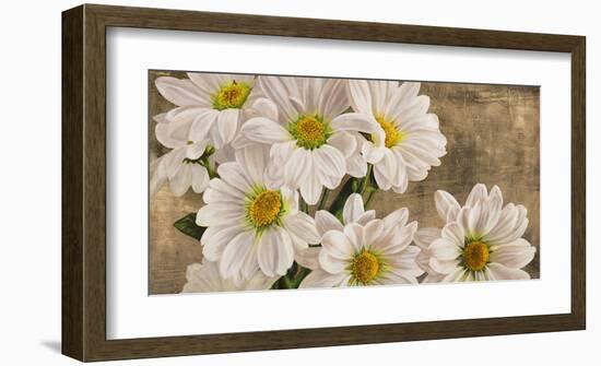 Daisies in the Moonlight-Jenny Thomlinson-Framed Art Print