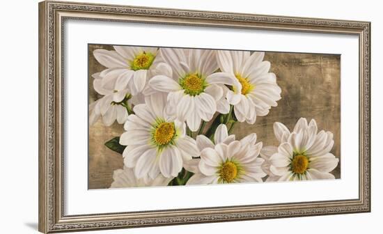 Daisies in the Moonlight-Jenny Thomlinson-Framed Art Print