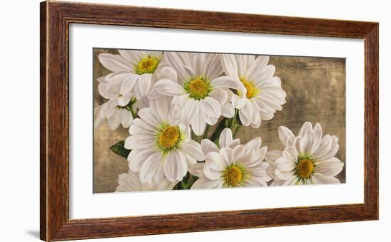 Daisies in the Moonlight-Jenny Thomlinson-Framed Art Print