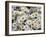 Daisies-null-Framed Photographic Print