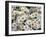 Daisies-null-Framed Photographic Print