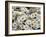 Daisies-null-Framed Photographic Print