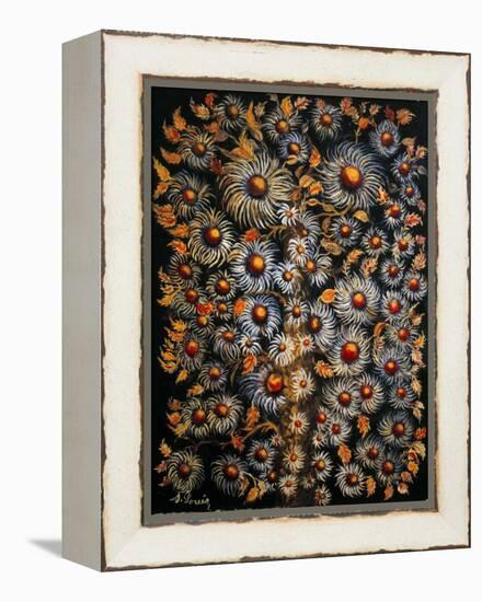 Daisies-Seraphine (de Senlis) Louis-Framed Stretched Canvas