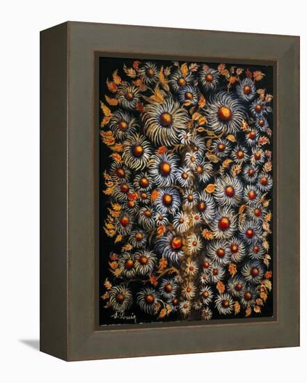 Daisies-Seraphine (de Senlis) Louis-Framed Stretched Canvas