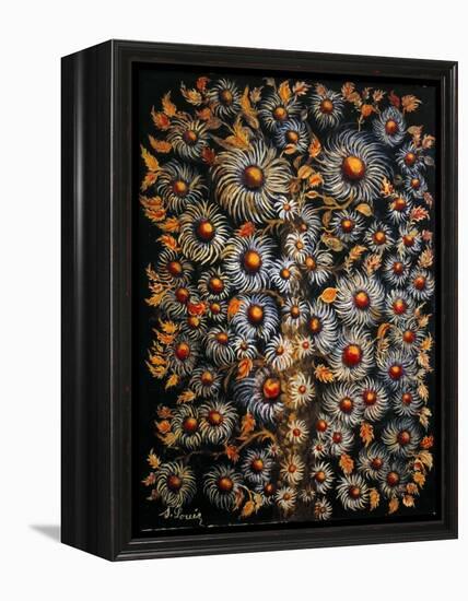 Daisies-Seraphine (de Senlis) Louis-Framed Stretched Canvas