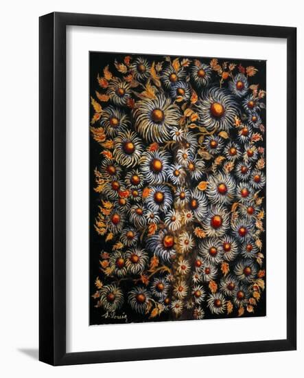 Daisies-Seraphine (de Senlis) Louis-Framed Art Print