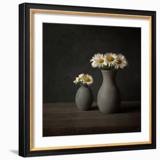 Daisies-Ytje Veenstra-Framed Photographic Print