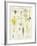 Daisy and Dandelion-null-Framed Giclee Print