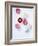 Daisy, Bellis Perennis, Blossoms, Pink, White, Red-Axel Killian-Framed Photographic Print