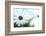 Daisy Blue I-Karin Connolly-Framed Premium Giclee Print