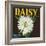 Daisy Brand Citrus Crate Label - Covina, CA-Lantern Press-Framed Art Print