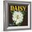 Daisy Brand Citrus Crate Label - Covina, CA-Lantern Press-Framed Art Print