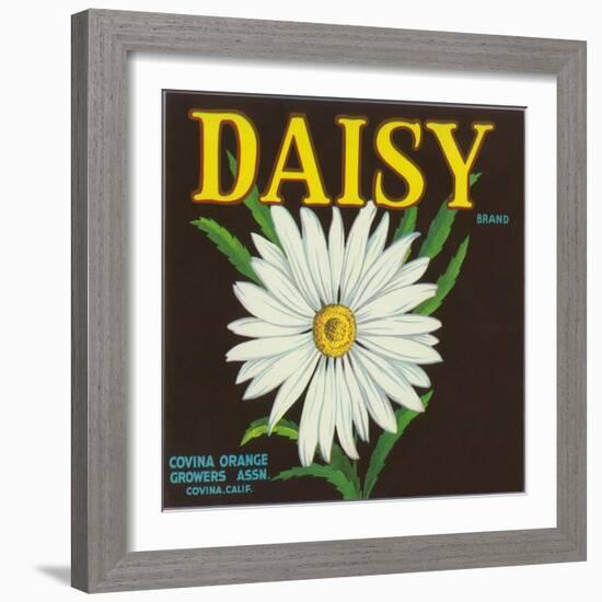 Daisy Brand Citrus Crate Label - Covina, CA-Lantern Press-Framed Art Print