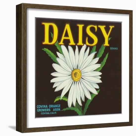 Daisy Brand Citrus Crate Label - Covina, CA-Lantern Press-Framed Art Print